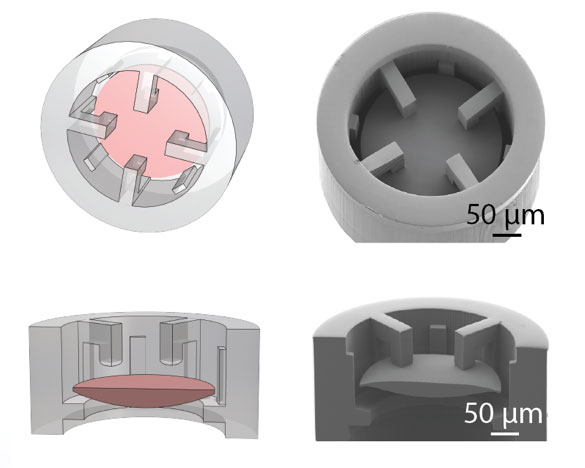The 2PP-fabricated suspension valve ensures a rectified flow in the microfluidic system.