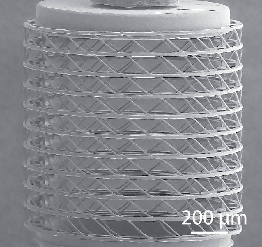 The image shows the 2PP-fabricated hollow cylindrical cell scaffold.