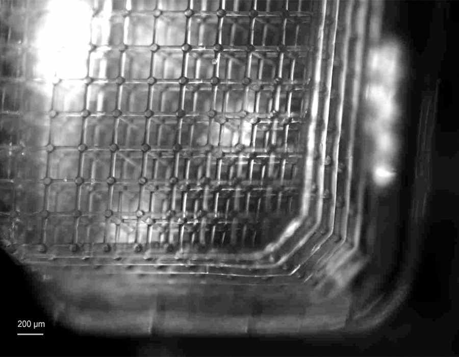 由非溶胀水凝胶材料制成的3D打印软微流体毛细管晶格的特写图像
