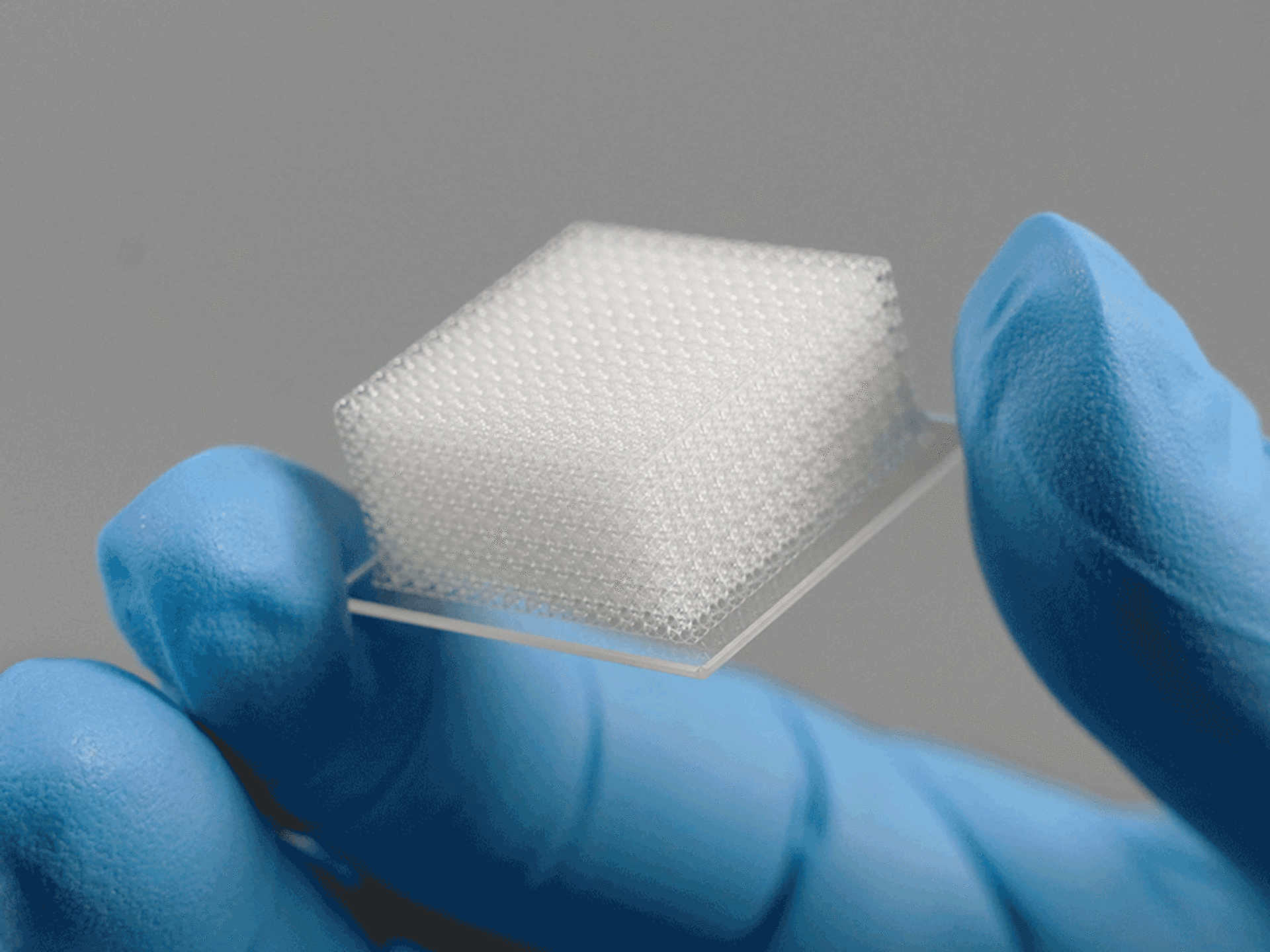 3D-printed cell scaffold matrix produced with the LF print set for life science applications