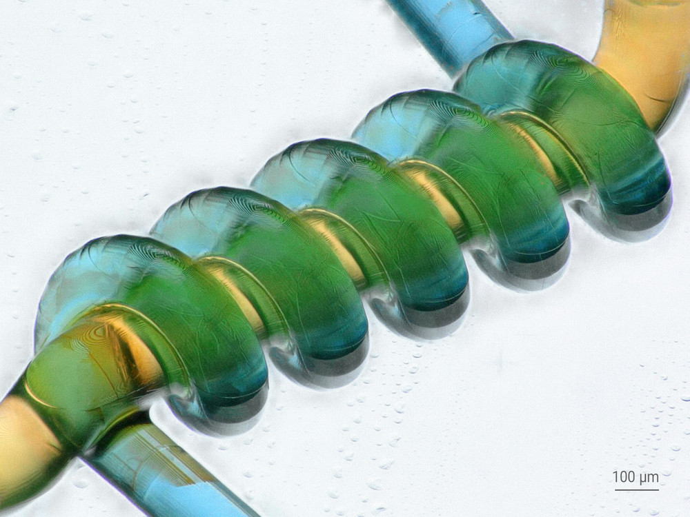 Vascular model with dyed water