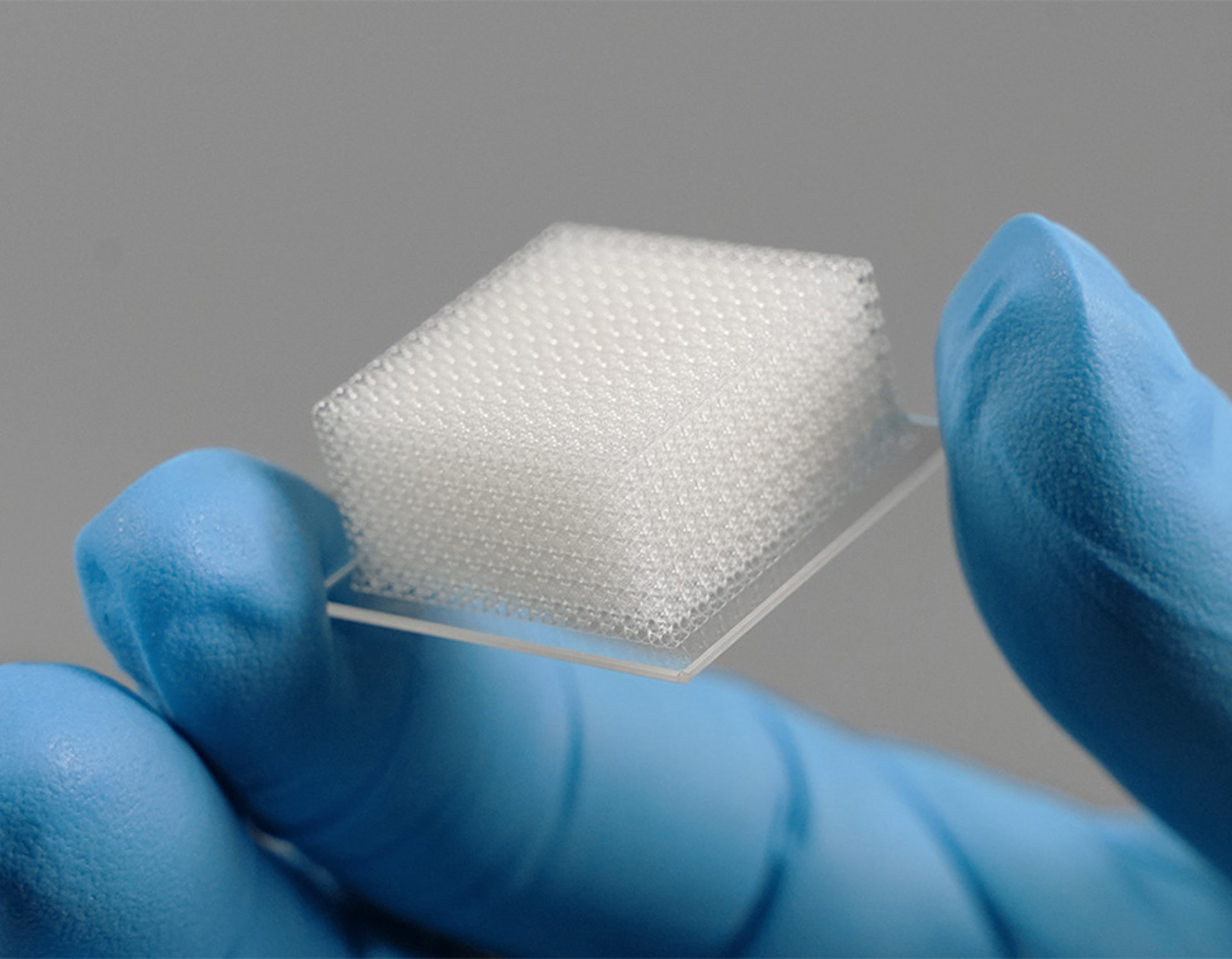 3D 打印的细胞支架基质