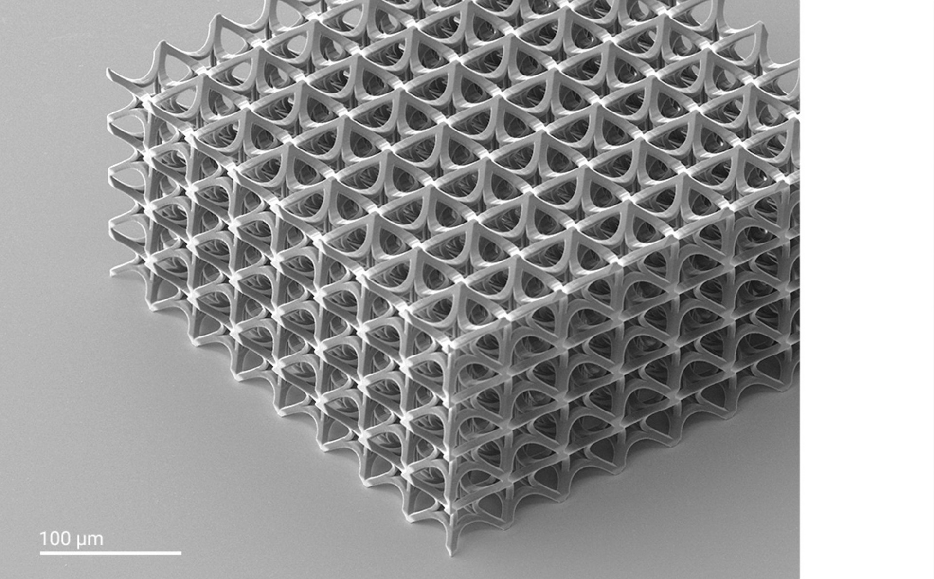 Scaffold mesh cube printed on a Quantum X system
