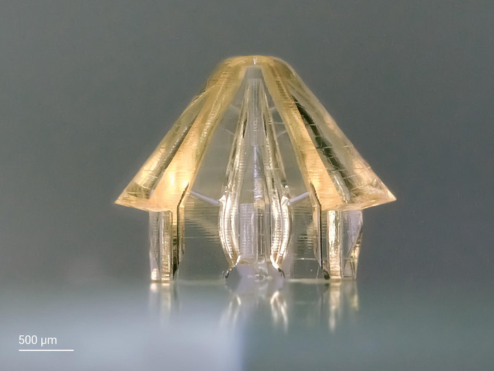 Microfluidic nozzle