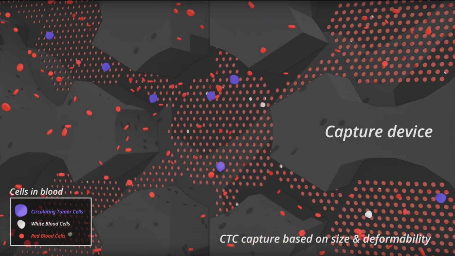 WiSEED visualization of SmartCatch technology