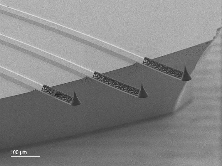 3D printed microstructures on an AFM cantilever 