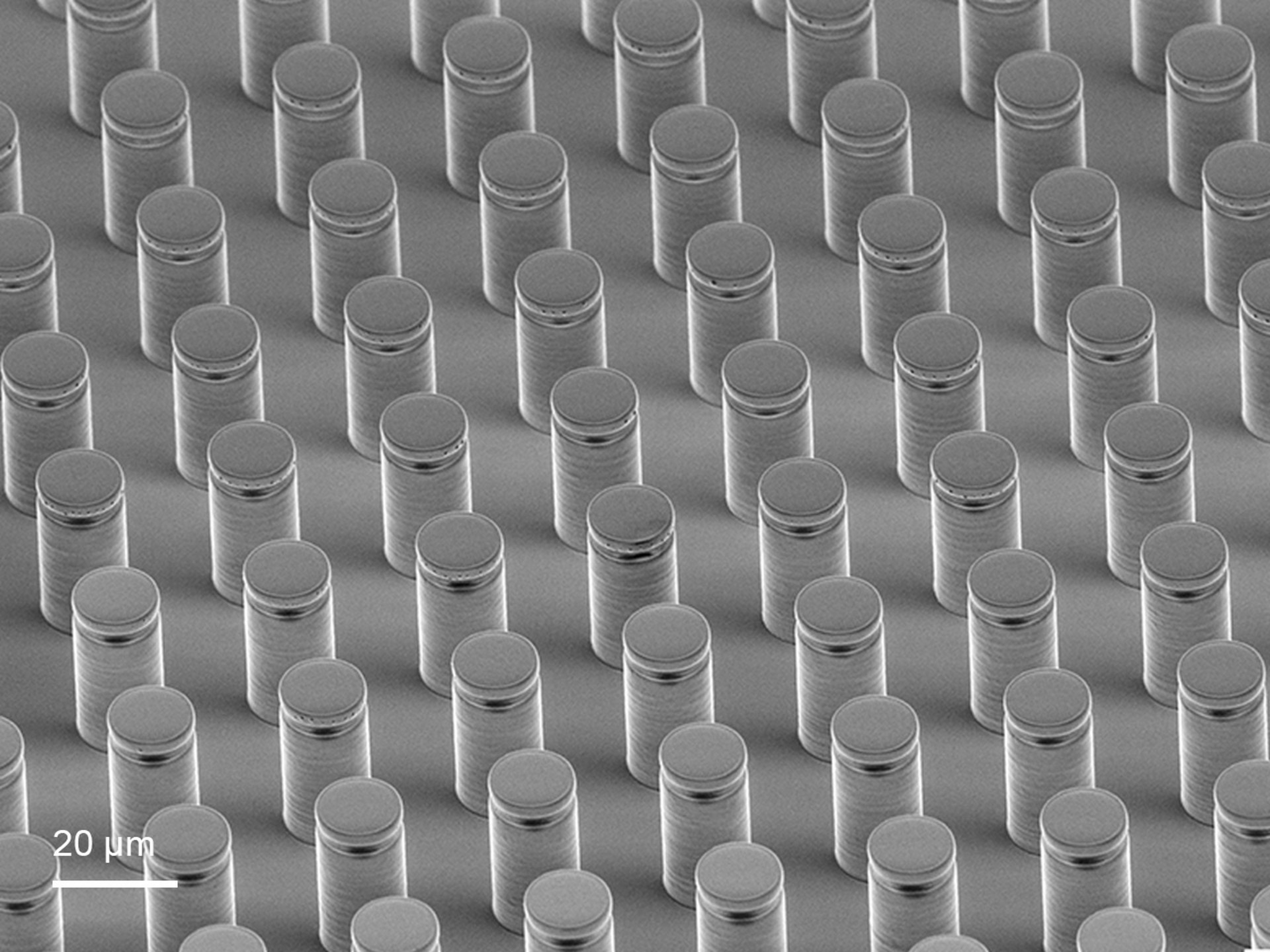Array of bioinspired adhesive microstructures 