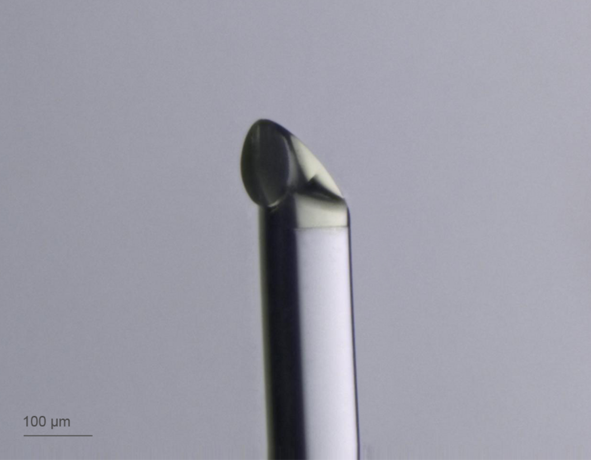 3D-printed freeform total internal reflection mirror on the tip of a no-core fiber
