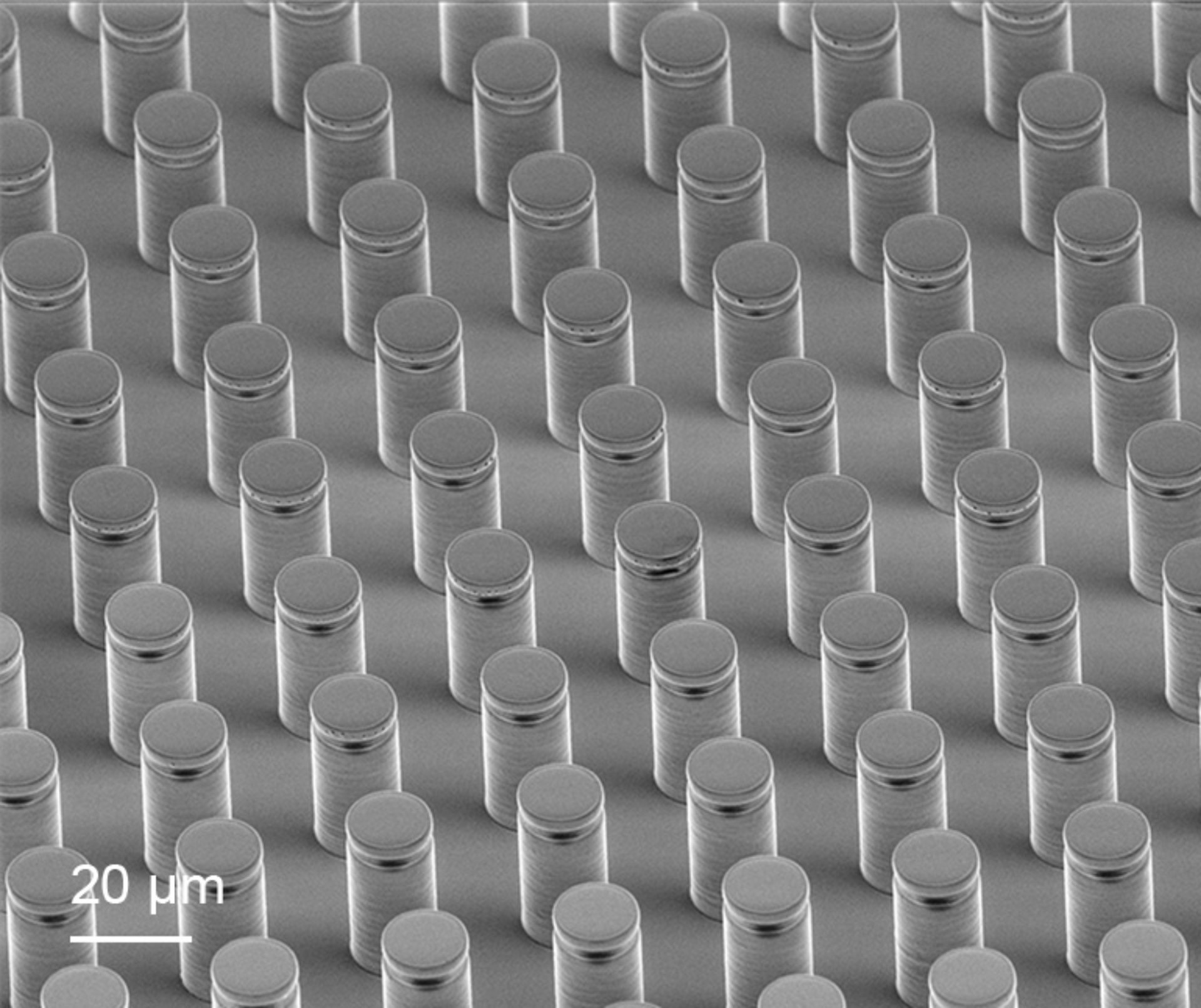 Array of bioinspired adhesive microstructures fabricated by replica molding from a 3D-printed master
