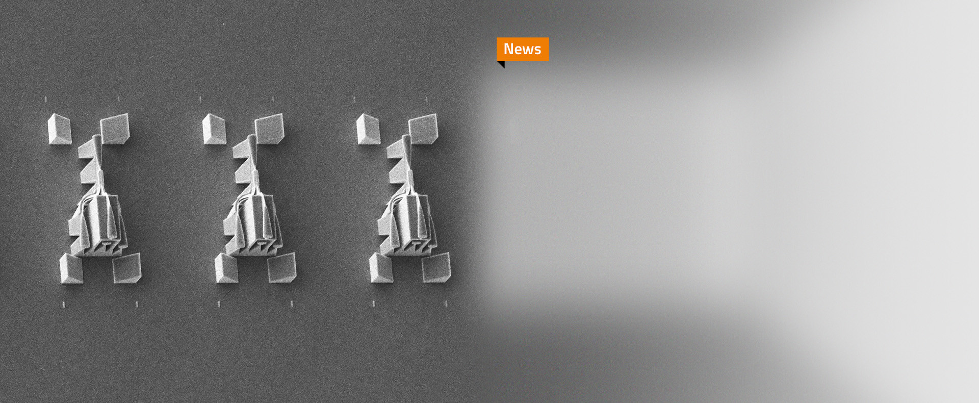 使用Nanoscribe Quantum X shape打印的超紧凑光分路器扫描电镜（SEM）图。
