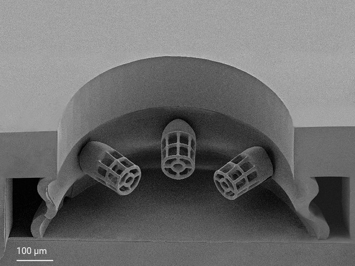 The SEM image shows the cross-section of the circular seeding well with a surrounding microfluidic channel and three tailor-made microcages that function as cell adhesion sites for the 3D freestanding cardiac microtissue