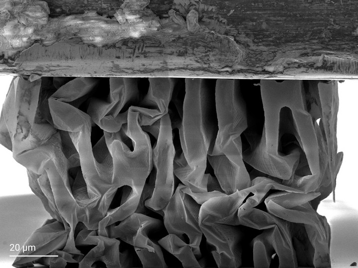 Bicontinuous ceramic-shell structure derived from a 3D-printed template during uniaxial nanomechanical compression.
