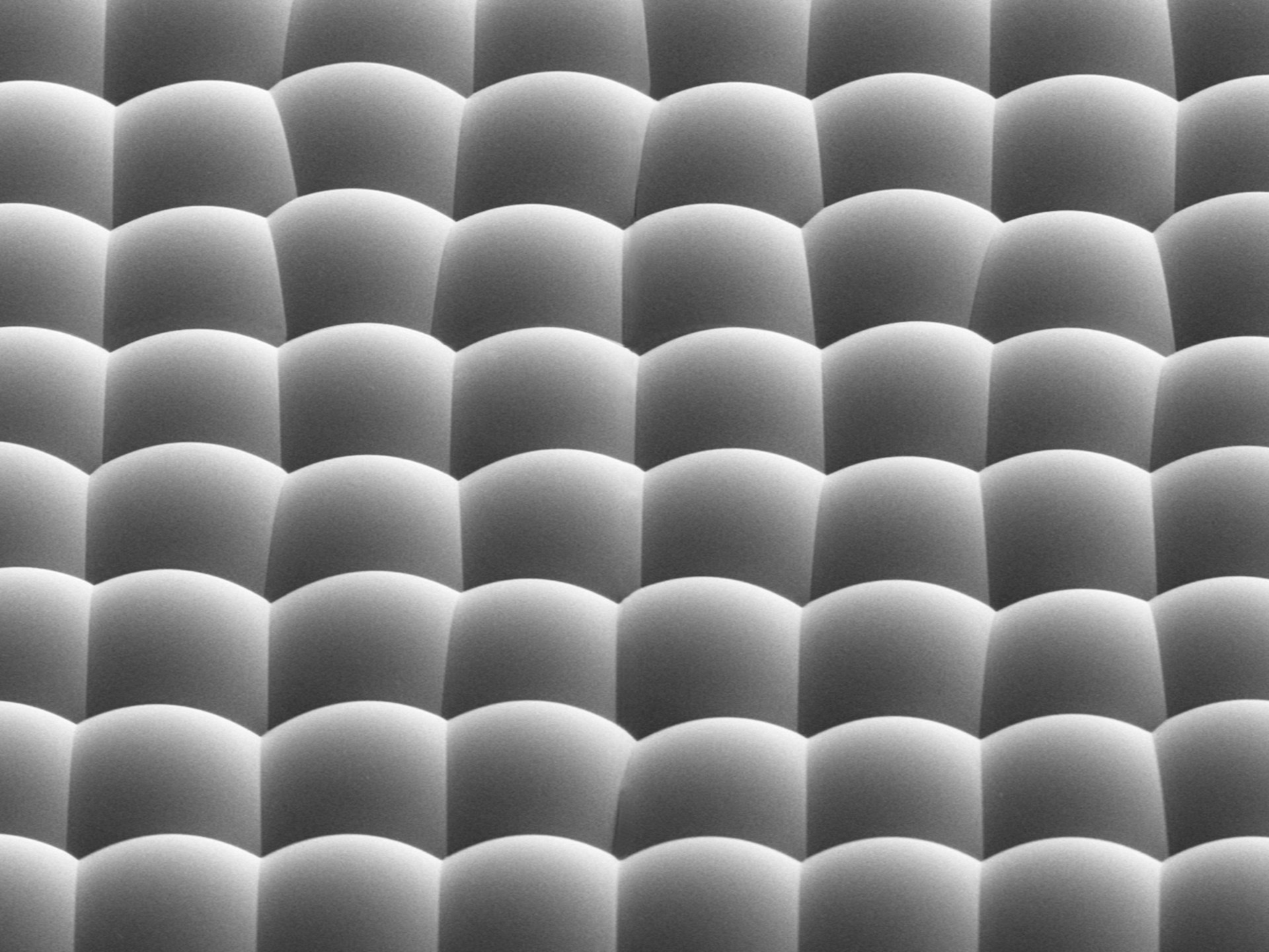 Densely packed microlens array 