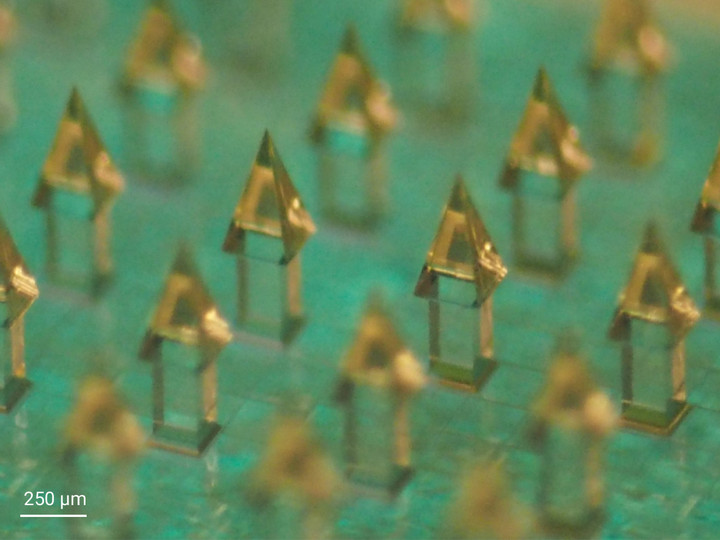 3D-printed prototype of an array of microneedles. These needles are designed for the efficient delivery of vaccines into specific skin layers.