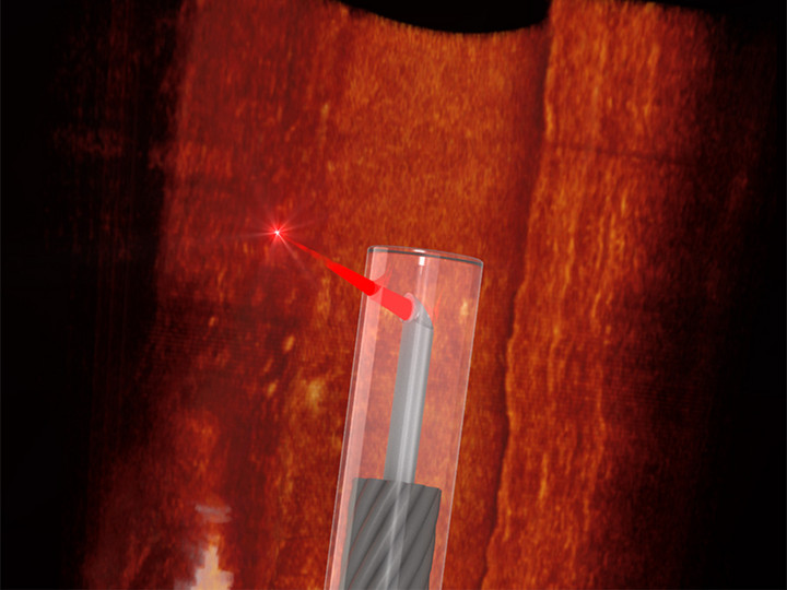 3D model of a probe superimposed on a real OCT scan of an artery